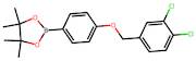 2-(4-((3,4-Dichlorobenzyl)oxy)phenyl)-4,4,5,5-tetramethyl-1,3,2-dioxaborolane