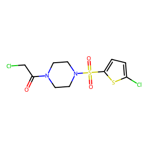 2-Chloro-1-{4-[(5-chlorothiophen-2-yl)sulfonyl]piperazin-1-yl}ethan-1-one