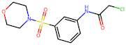 2-Chloro-N-[3-(morpholine-4-sulfonyl)phenyl]acetamide