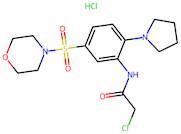 2-Chloro-N-[5-(morpholine-4-sulfonyl)-2-(pyrrolidin-1-yl)phenyl]acetamide hydrochloride