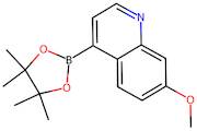 7-Methoxy-4-(4,4,5,5-tetramethyl-1,3,2-dioxaborolan-2-yl)quinoline