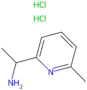 1-(6-Methylpyridin-2-yl)ethan-1-amine dihydrochloride