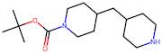 Tert-butyl 4-(piperidin-4-ylmethyl)piperidine-1-carboxylate