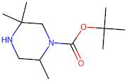 tert-Butyl 2,5,5-trimethylpiperazine-1-carboxylate