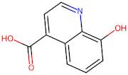 8-Hydroxy-quinoline-4-carboxylic acid