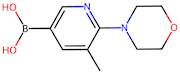 (5-Methyl-6-morpholinopyridin-3-yl)boronic acid