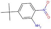 5-(tert-Butyl)-2-nitroaniline