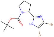 tert-Butyl 2-(4,5-dibromo-1H-imidazol-2-yl)pyrrolidine-1-carboxylate