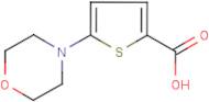 5-(Morpholin-4-yl)thiophene-2-carboxylic acid