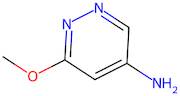 6-Methoxypyridazin-4-amine