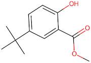 Methyl 5-(tert-butyl)-2-hydroxybenzoate