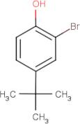 2-Bromo-4-(tert-butyl)phenol