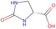 (R)-2-Oxoimidazolidine-4-carboxylic acid