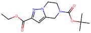 5-tert-Butyl 2-ethyl 6,7-dihydropyrazolo[1,5-a]pyrazine-2,5(4H)-dicarboxylate