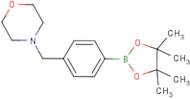 4-[(Morpholin-4-yl)methyl]benzeneboronic acid, pinacol ester