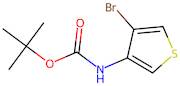 tert-Butyl (4-bromothiophen-3-yl)carbamate