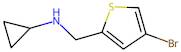 n-((4-Bromothiophen-2-yl)methyl)cyclopropanamine