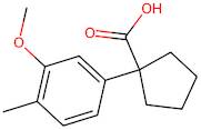 1-(3-Methoxy-4-methylphenyl)cyclopentane-1-carboxylic acid