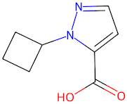 1-Cyclobutyl-1H-pyrazole-5-carboxylic acid