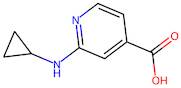 2-(Cyclopropylamino)isonicotinic acid