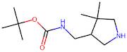 tert-Butyl N-[(4,4-dimethylpyrrolidin-3-yl)methyl]carbamate