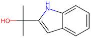 2-(1H-Indol-2-yl)propan-2-ol