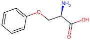 (R)-2-amino-3-phenoxypropanoic acid