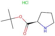 (R)-tert-Butyl pyrrolidine-2-carboxylate hydrochloride