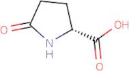 (2R)-5-Oxopyrrolidine-2-carboxylic acid