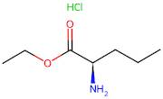 Ethyl (R)-2-aminopentanoate hydrochloride