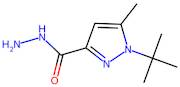 1-(tert-Butyl)-5-methyl-1H-pyrazole-3-carbohydrazide