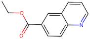 Ethyl quinoline-6-carboxylate