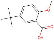 5-(tert-Butyl)-2-methoxybenzoic acid