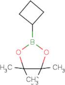 2-Cyclobutyl-4,4,5,5-tetramethyl-1,3,2-dioxaborolane