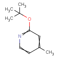 2-tert-Butoxy-p-picoline