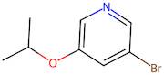 5-Isopropoxy-3-bromopyridine