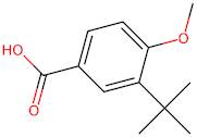 3-(tert-Butyl)-4-methoxybenzoic acid