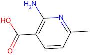 2-Amino-6-methylnicotinic acid