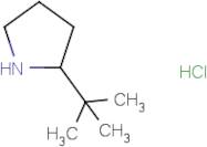 2-tert-Butylpyrrolidine hydrochloride