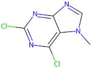 2,6-Dichloro-7-methylpurine