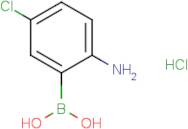 (2-Amino-5-chlorophenyl)boronic acid hydrochloride