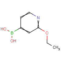 2-Ethoxypyridine-4-boronic acid