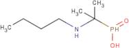 [1-(Butylamino)-1-methyl-ethyl]phosphinic acid