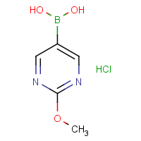 2-Methoxypyrimidine-5-boronic acid hydrochloride