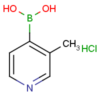 3-Picoline-4-boronic acid hydrochloride