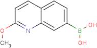 2-Methoxyquinoline-7-boronic acid