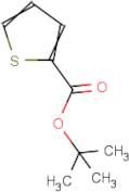 tert-Butyl thiophene-2-carboxylate