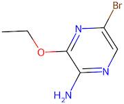 2-Amino-5-bromo-3-ethoxypyrazine