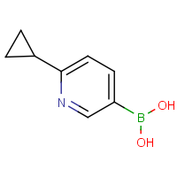 (6-Cyclopropylpyridin-3-yl)boronic acid