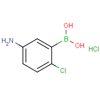 5-Amino-2-chlorophenylboronic acid, hydrochloride